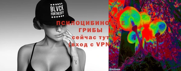 ПСИЛОЦИБИНОВЫЕ ГРИБЫ Алзамай