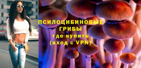 амф Алексеевка