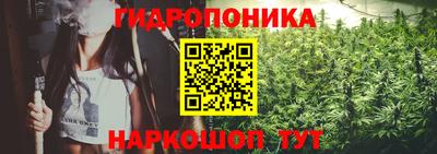 PSILOCYBIN Шебекино
