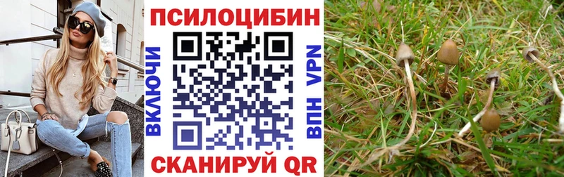 Галлюциногенные грибы ЛСД  OMG ТОР  Нижнекамск 