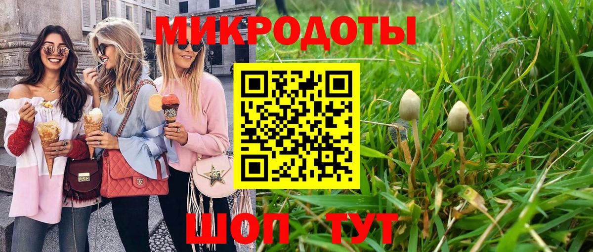 Галлюциногенные грибы Cubensis Нижнекамск
