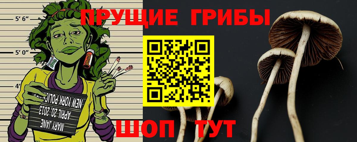 Галлюциногенные грибы прущие грибы  Галлюциногенные грибы Psilocybe  Нижнекамск  Вход с VPN 